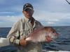 A nice pink snapper